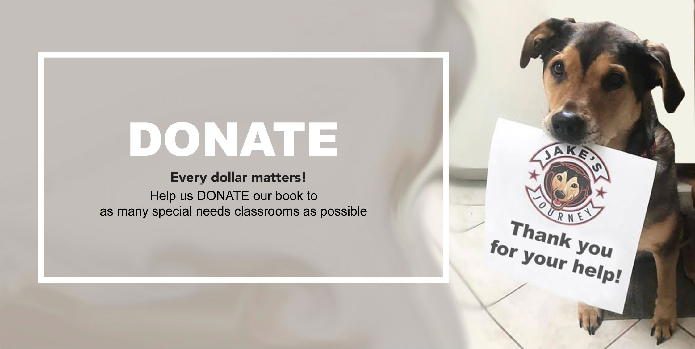 DONATE - Every dollar matters! Help us DONATE our book to as many special needs classrooms as possible.
