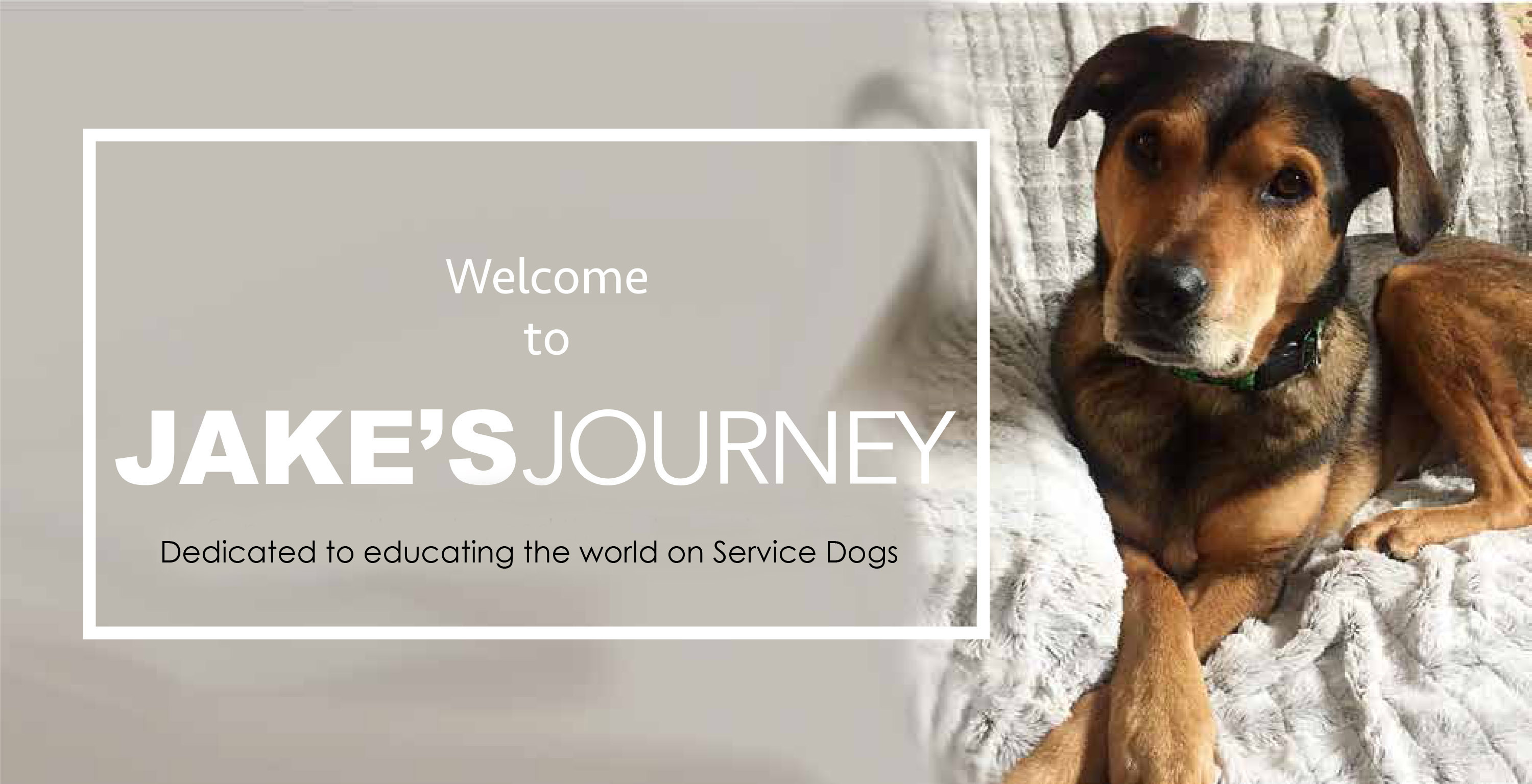 Welcome to Jakes Journey- Dedicated to educating the world on Service Dogs
